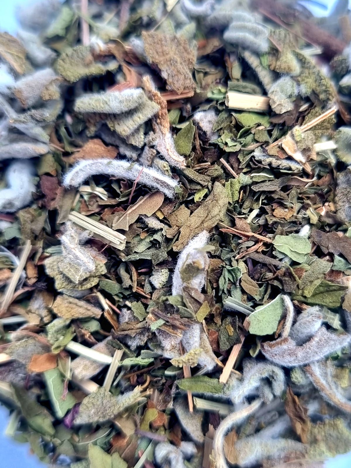 Minty Moments Herbal Infusion (The Fresh Awakener)